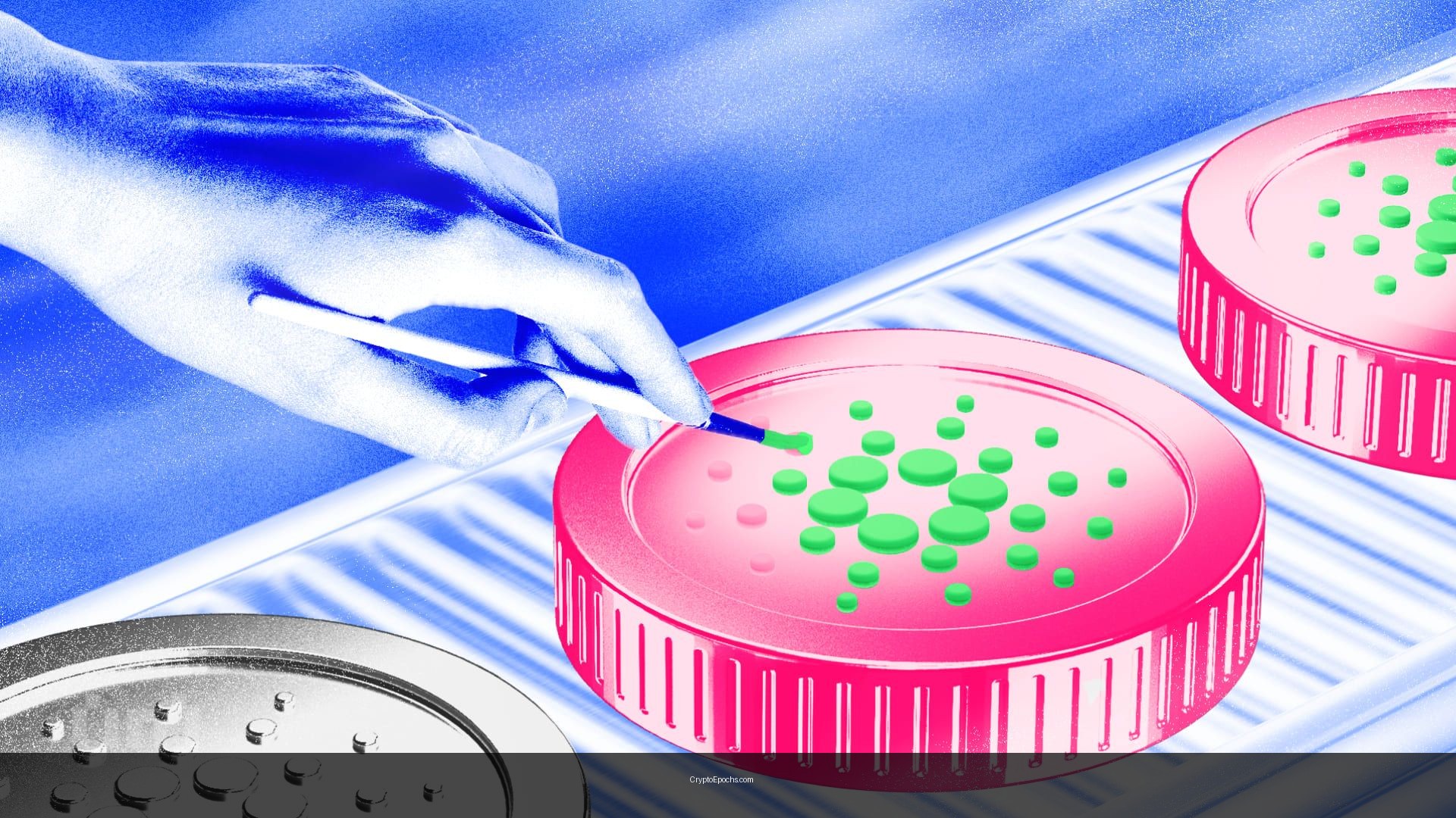 $36 Million in Cardano Whale Buying Meets a Reversal Setup — What Comes Next?