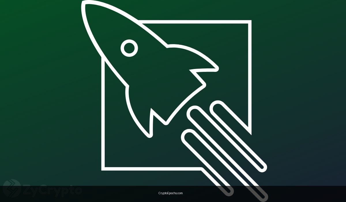 “2026 Will Be The Bull Run 2025 Was Supposed To Be” Analyst Shares Insight