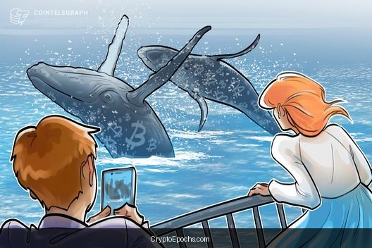 Bitfinex whales go long BTC for 2026: 5 things to know in Bitcoin this week