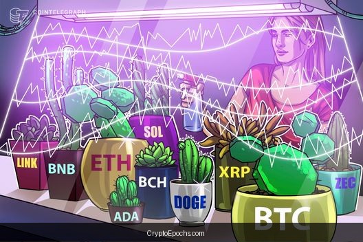 Price predictions 1/2: BTC, ETH, BNB, XRP, SOL, DOGE, ADA, BCH, LINK, ZEC