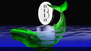 Large Bitcoin ‘Whale Accumulation’ Was Exchange Housekeeping, Data Shows