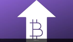 When Does Bitcoin Break the $100,000 Ceiling? ‬Analyst Shares Expected Timeline