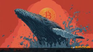 Bitcoin Whales Keep Buying as 100+ BTC Addresses Set New Record