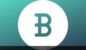 Crypto OG Hal Finney Predicted Bitcoin Price To Reach $10 Million 17 Years Ago — Now Analysts Say He May Be Right