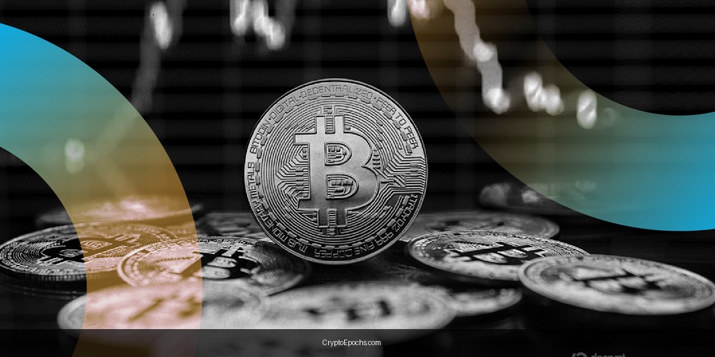 Bitcoin Price Crashes to Zero on Paradex Exchange as Glitch Fuels Mass Liquidations