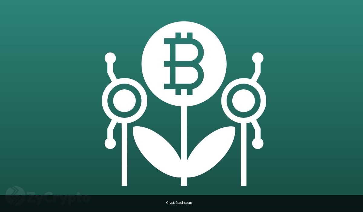 Bitcoin’s $100k Wall—Analyst Says Bulls Won’t Stagnate For Too Long, Here’s Why