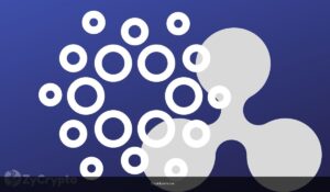 Charles Hoskinson Goes Off On Ripple CEO Garlinghouse For Supporting Flawed CLARITY Act