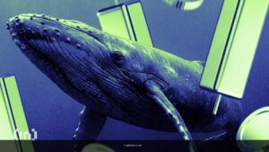 3 Privacy Coins Crypto Whales are Buying and Selling Ahead of February 2026