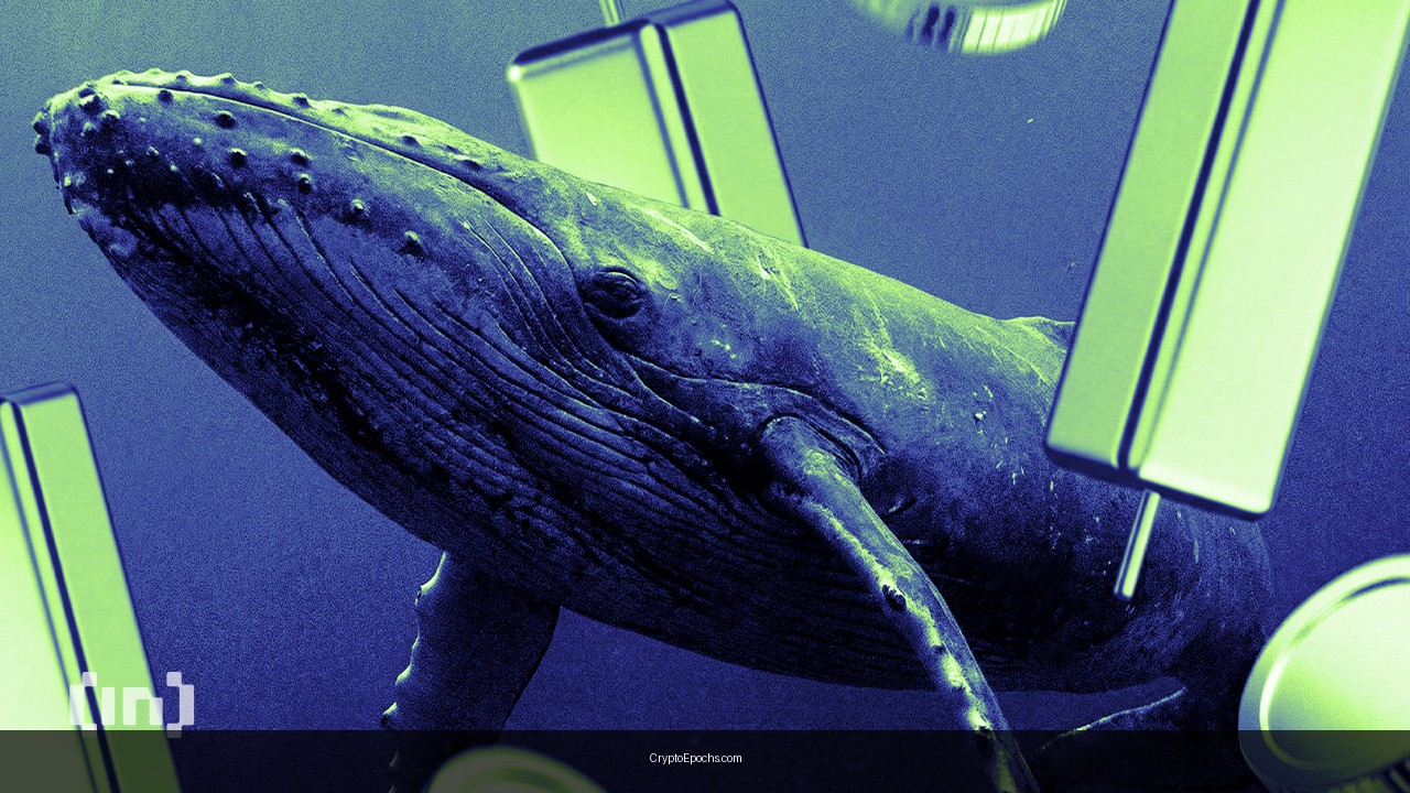 3 Privacy Coins Crypto Whales are Buying and Selling Ahead of February 2026